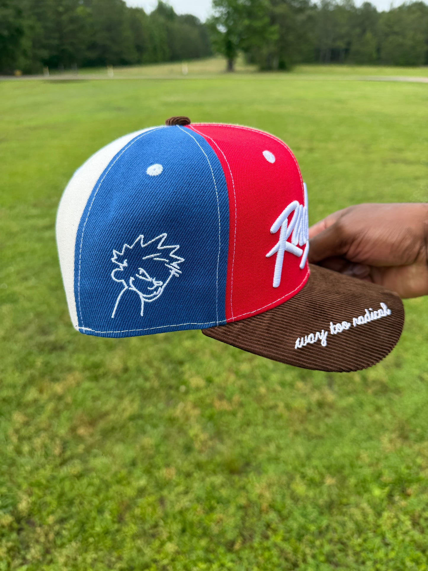 Multi-colored Radical Hat