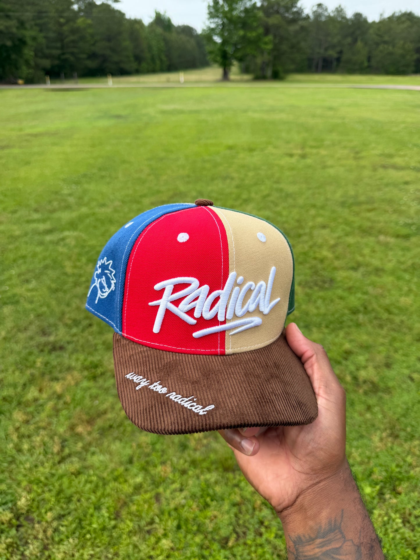 Multi-colored Radical Hat